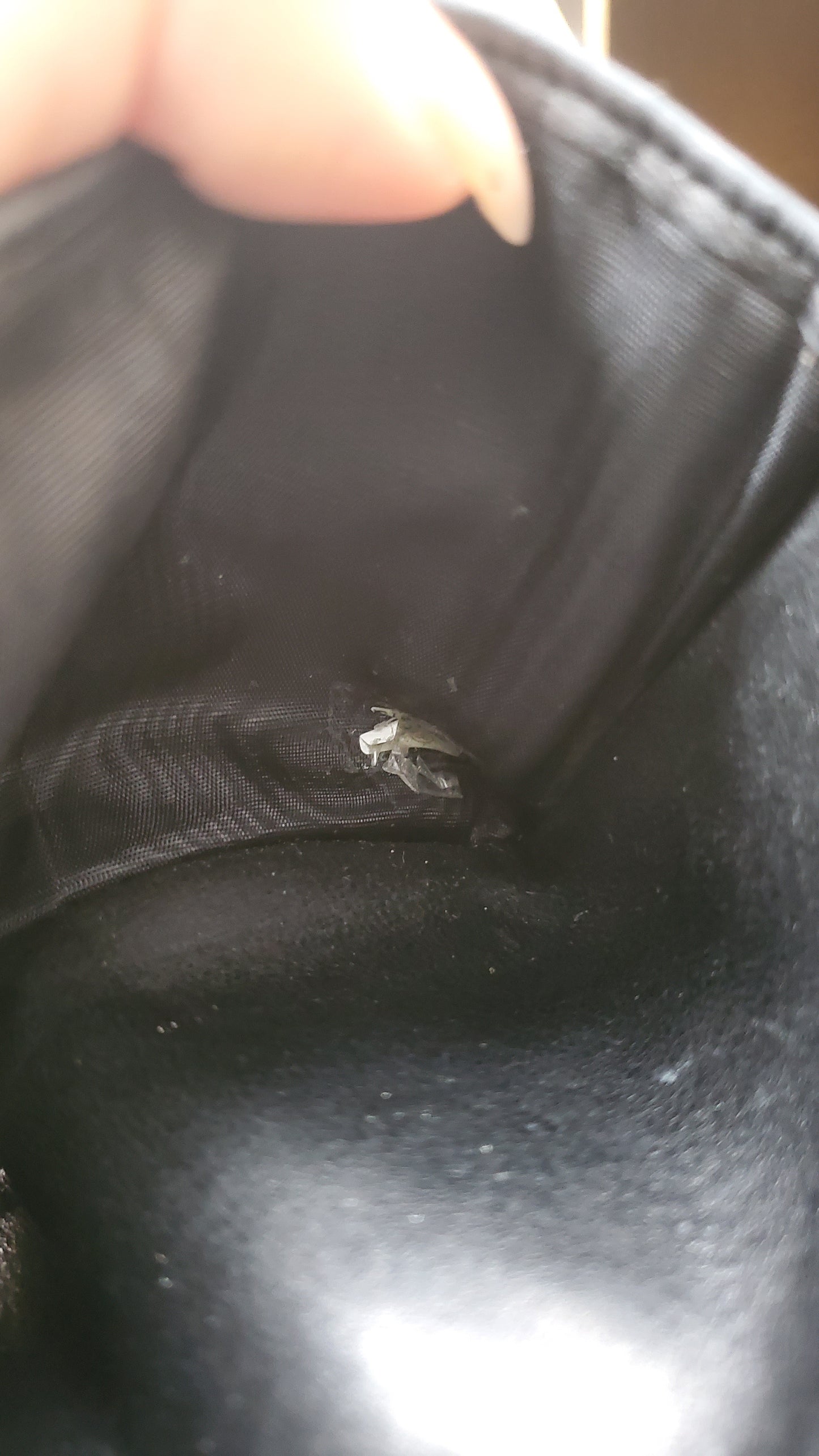 Authentic Vintage Chanel Upcycle Black Caviar Compact Wallet on Chain