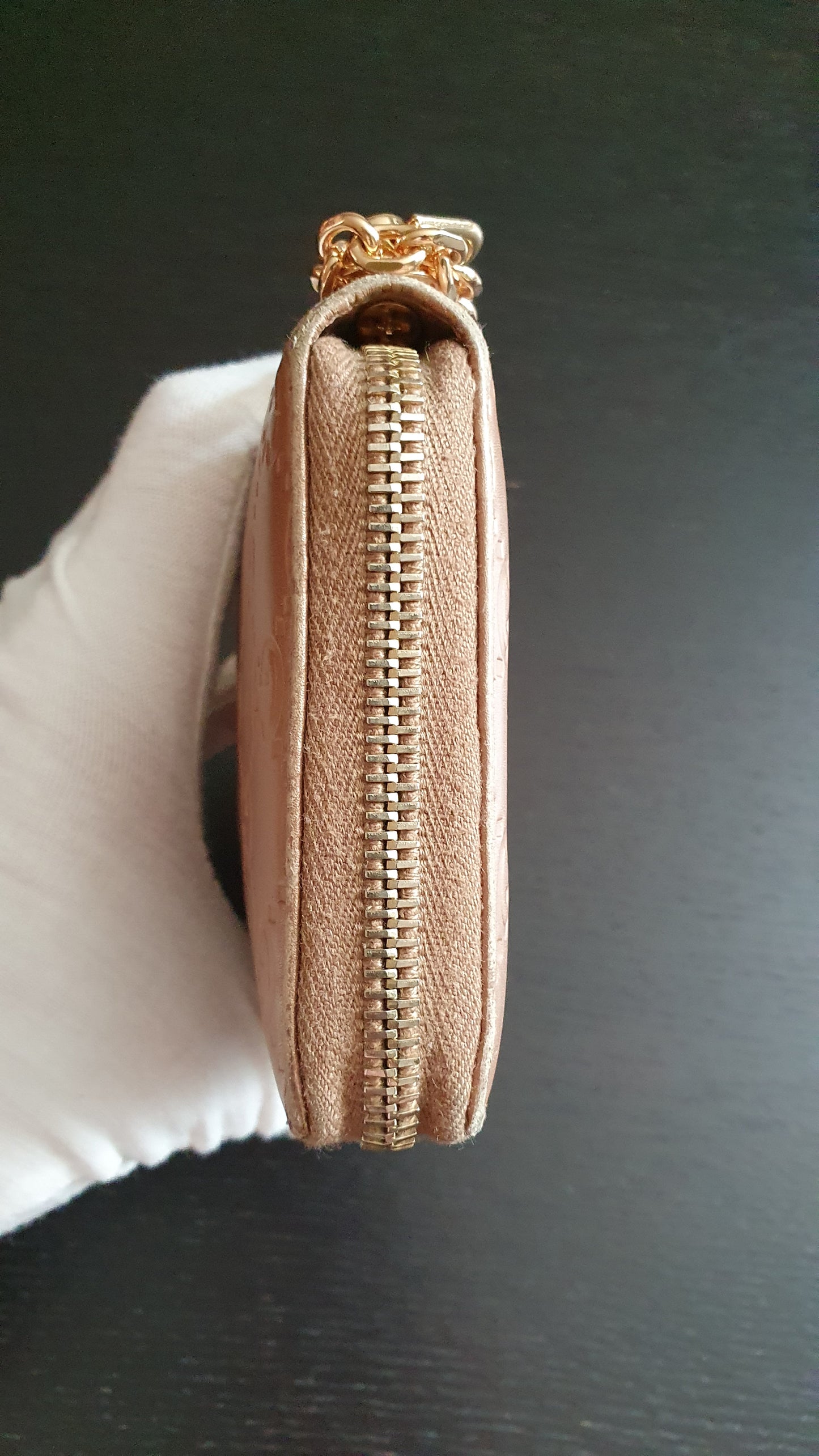 Authentic Gucci Upcycle Zip Wallet with Shoulder Chain