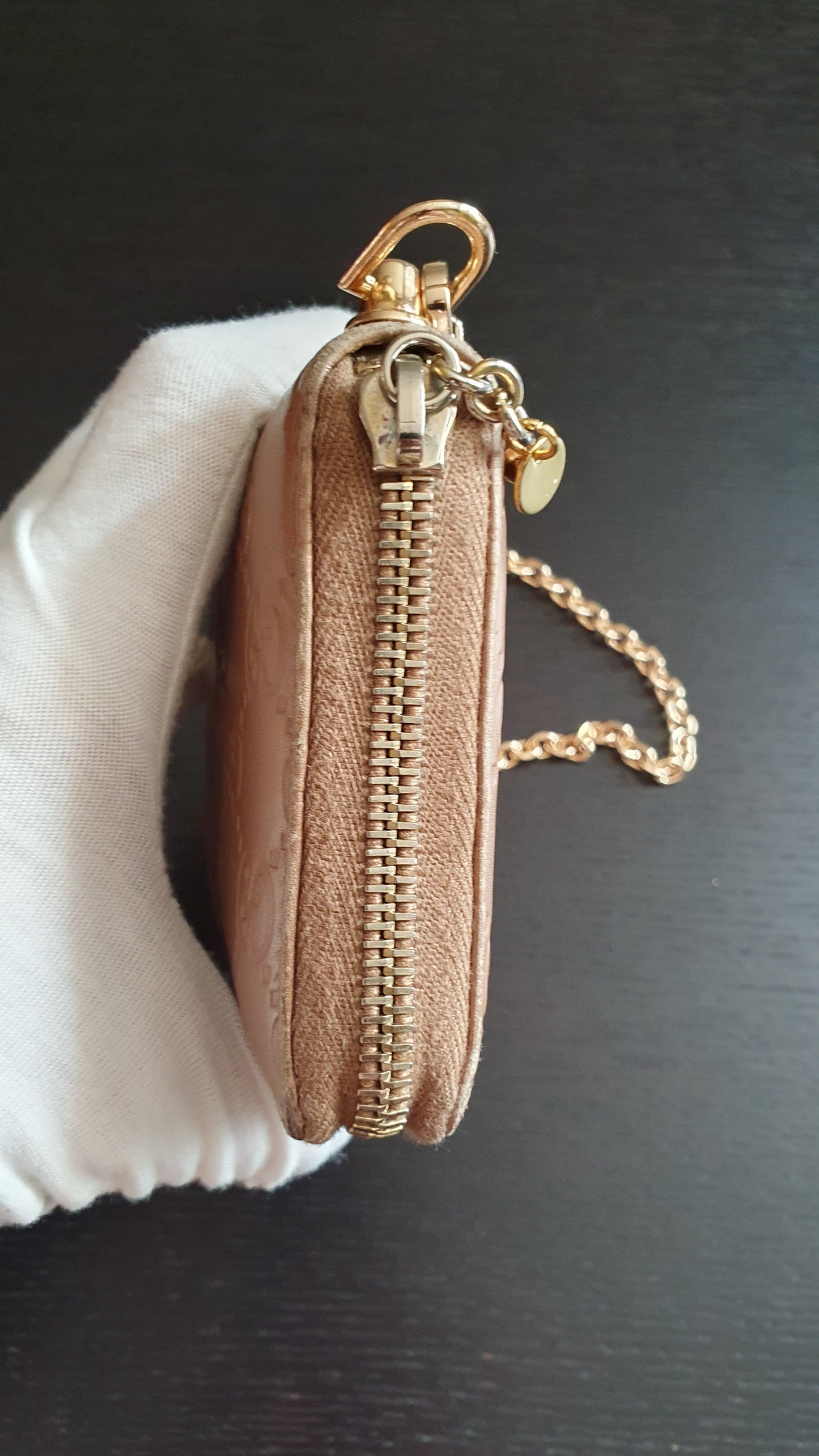 Authentic Gucci Upcycle Zip Wallet with Shoulder Chain