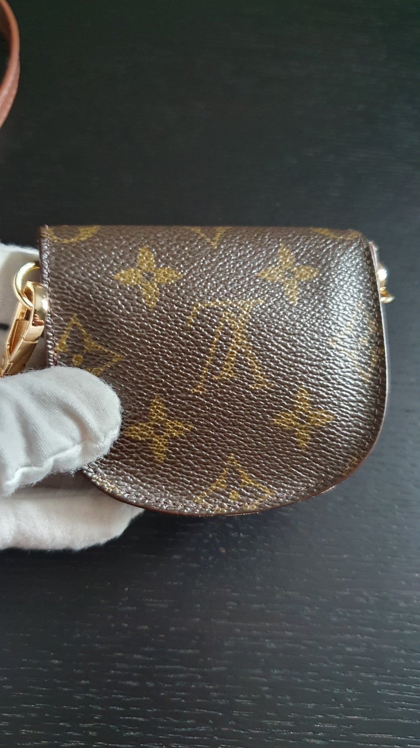 Authentic Vintage Louis Vuitton (2) Upcycle Mini Pouch with Strap